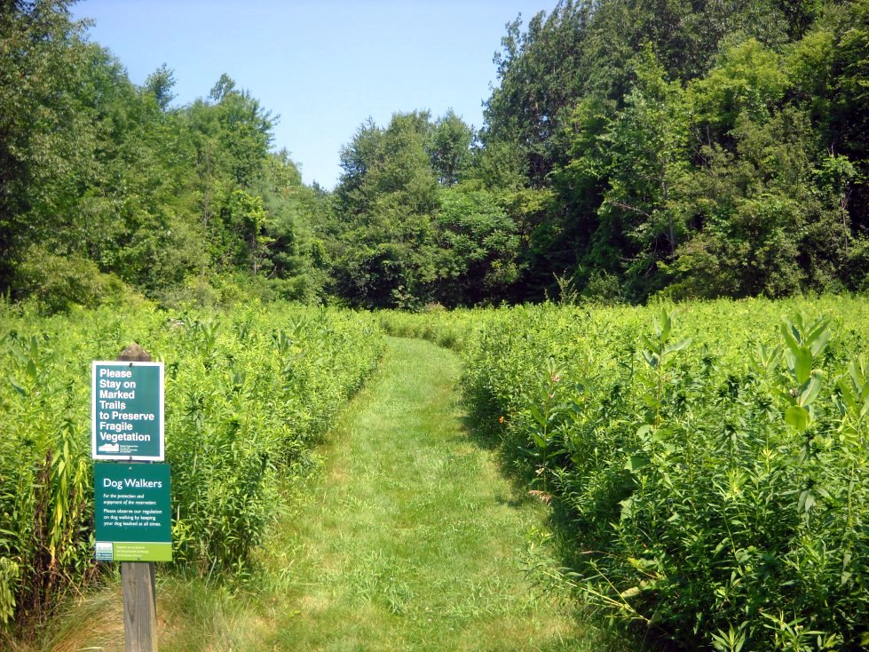 Hiking The Taconic Range